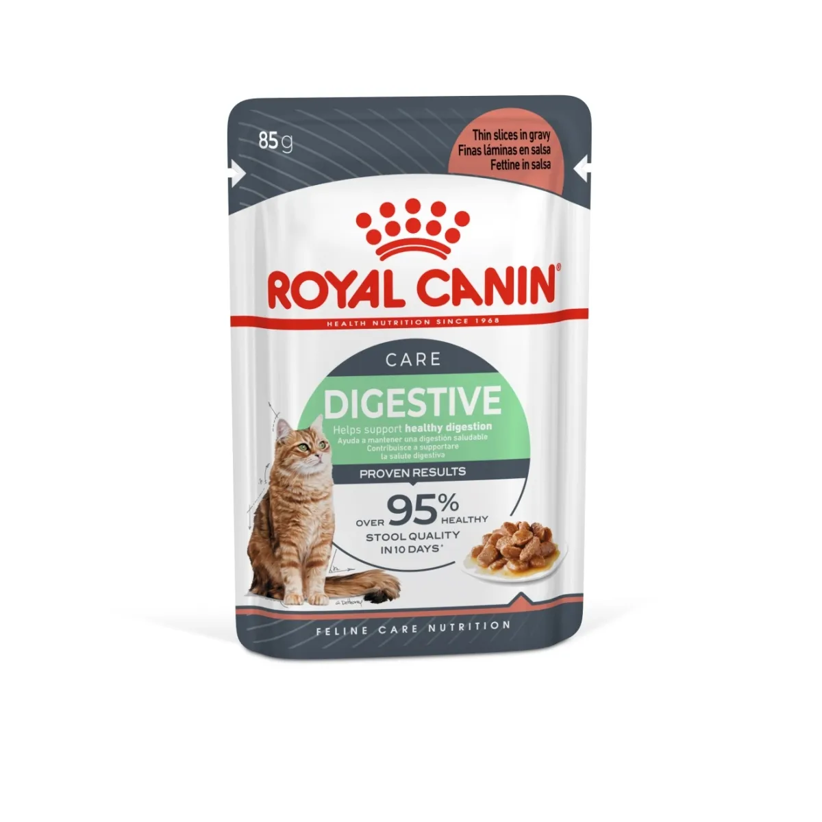 Royal Canin Digestive care, einekotike kassile 85 g