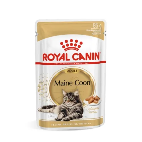 Royal Canin einekotike Maine Coon tõugu kassile 85 g