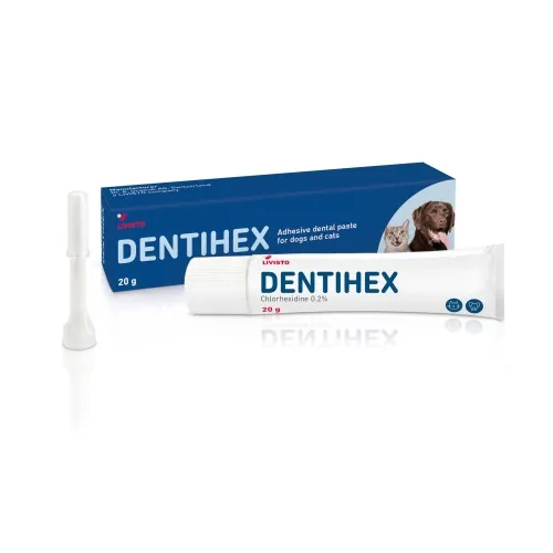 HAMBAPASTA DENTIHEX 20G