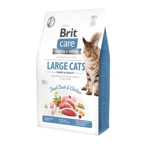 Brit Care Large Cats Power&Vitality kuivtoit suurt kasvu kassidele 2kg