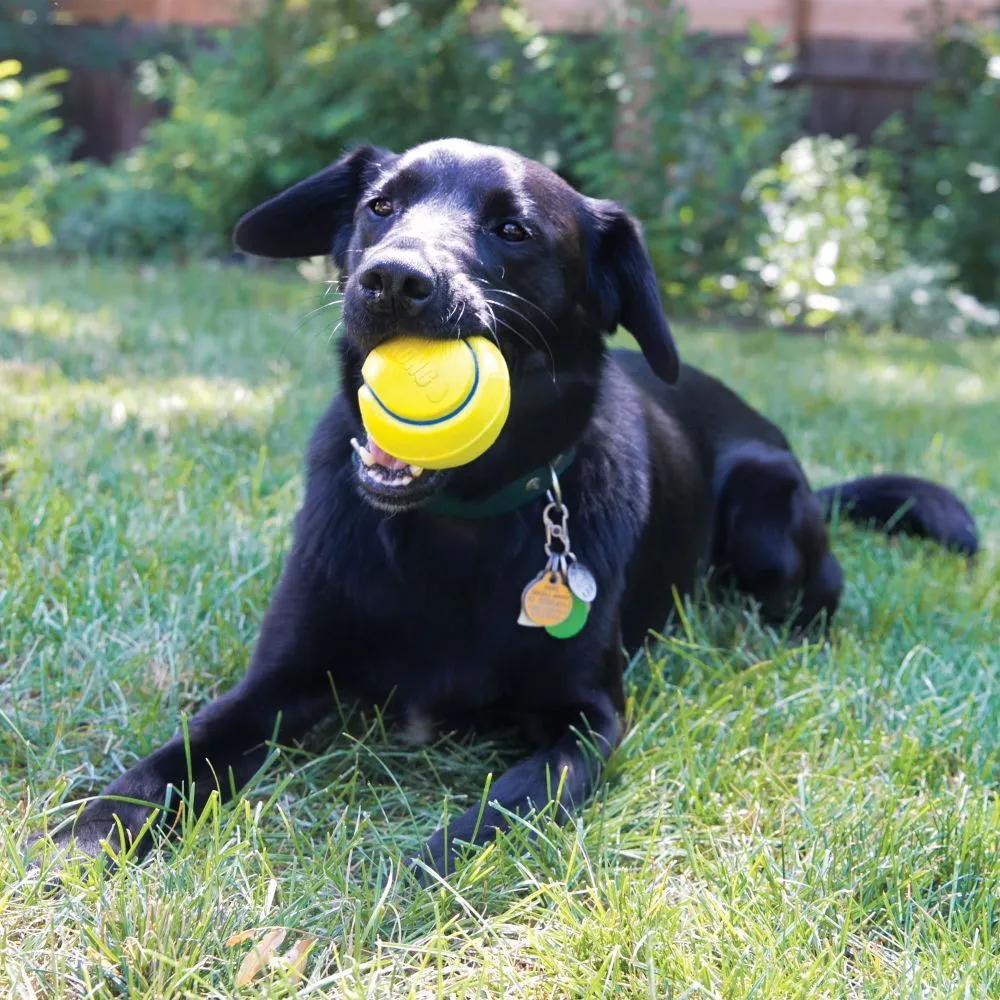 KONG Squeezz tennispallid, mänguasi koerale, värvivalik