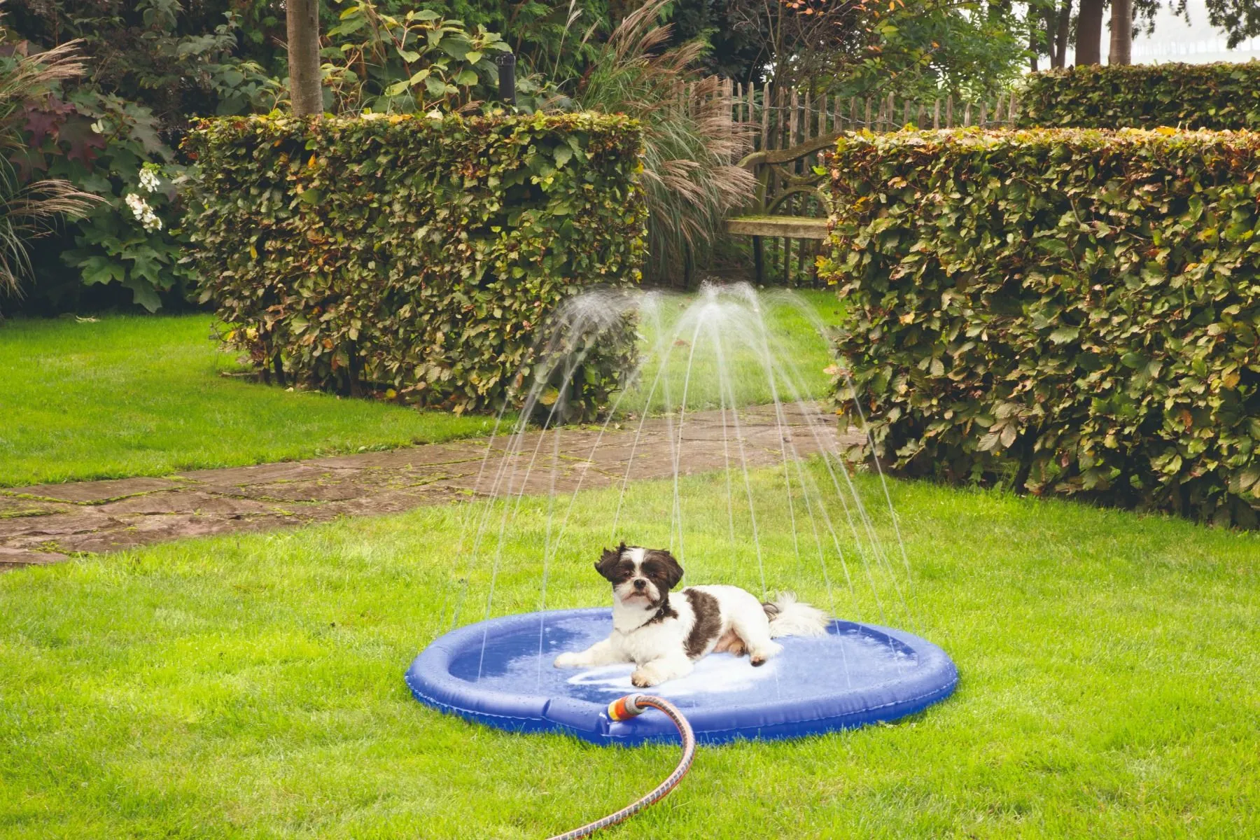 Beeztees Sprinkler Stay Cool koera matt 100 cm