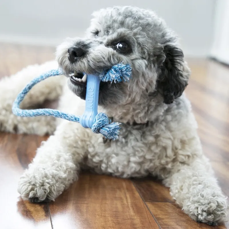 KONG Puppy Goodie Bone nööriga mänguasi kutsikatele XS