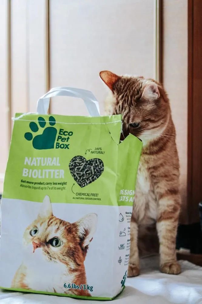 Eco Pet Box kassiliiv 3 kg