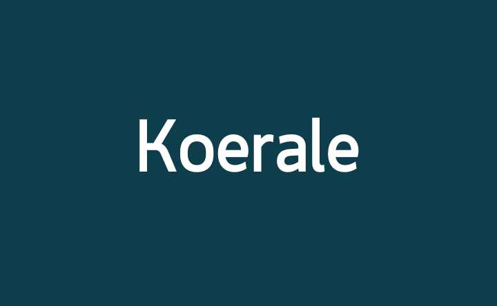 Kõik koerale